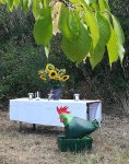Grüner Hahn - Gottesdienst im Pfarrfeld am Blütenhang