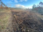 ZDF-Beitrag zeigt: Was läuft schief im Wald und wie geht es besser?