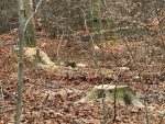 Waldkunstpfad Darmstadt: Offener Brief an Forstamtsleiter Müller