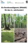 Bundeswaldgesetz: Gemeinsame Pressemitteilung der Umweltverbände DNR, DUH, NABU und WWF