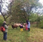 Kinder besuchen die NABU-Schafe