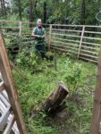 Zweiter Pflegeeinsatz Naturwaldprojekt Wolfsrain
