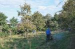 Weidenpflege am Malchener Blütenhang