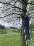 Nistkastenreinigung im Stettbacher Tal