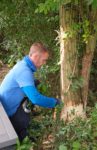 Einsatz auf der Streuobstwiese am Marienruhweg