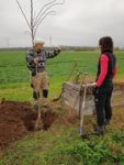 NABU-Pflanzaktion auf der Steinkauzwiese bei Hähnlein