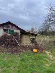 Umzug der Alsbacher Schafe auf die Winterweide