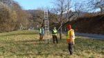 Baumschnitt-Aktion im Stettbacher Tal