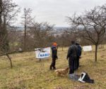 Baumschnitt auf der Streuobstwiese am Marienruhweg