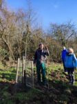 NABU-Obstbaum-Schnittkurs: Praxisteil am Seeheimer Blütenhang