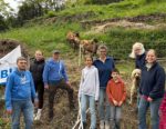 Ziegen im Naturschutzeinsatz