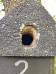 Nistkasten-Reinigung am Heiligenberg