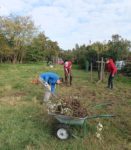 Einsatz auf der Streuobstwiese am Alsbacher Weilerweg