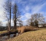 Anbaden im Schlossteich - NABU-Aktive beim Einsatz zum Amphibienschutz