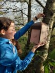 Gartenschläferkästen auf NABU-Flächen bei Alsbach-Hähnlein