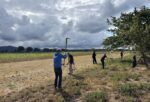 Pflegeeinsatz auf der Steinkauzwiese bei Hähnlein