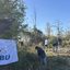 NABU im Einsatz für Amphibien am Bickenbacher Bahndamm