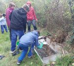 Herbstrallye der Eichhörnchen-Gruppe im HORTUS-Garten