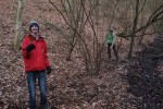 Feuersalamander-Gruppe pflanzt Märzenbecher im Wald