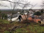 Arbeitseinsatz an der neuen Schafweide