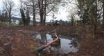 Teichsanierung am Seeheimer Schloß