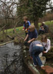 Die Feuersalamander sanieren einen Teich