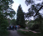 Fledermausexkursion  am Waldweiher