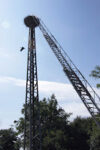 Storchenberingung in Hähnlein