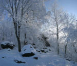 Mount Melibokus