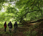 Projektstart: Neuer Wanderweg zu den Feuchtwiesen am Beerbach