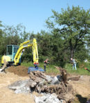 Biotop des Jahres 2012 - Das Totholz