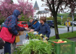 Pflanzenflohmarkt in Seeheim