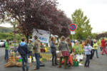 Die Wühlmäuse beim Pflanzenflohmarkt