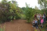 Arbeitseinsatz auf der neuen Schafweide an der Dieburger Strasse