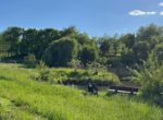 Sanierungsarbeiten am Auweiher geplant