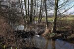 Biberseminar in der Naturchutzscheune