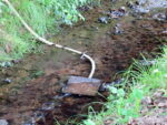Wasserentnahme aus dem Landbach