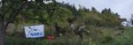 Bienenretter im Einsatz am Malchener Blütenhang