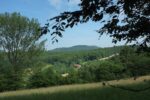 BioTopTour in Wallhausen