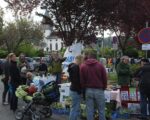 Pflanzenflohmarkt in Seeheim