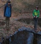 Weidenzaun am Hermelinweiher