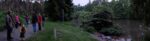 Bat-Night am Waldweiher