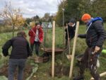 Baumpflanzaktion in Alsbach