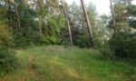 Seeheimer Wald erhalten