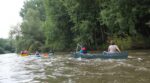 Wühlmaus-Sommertour III - Main von Ebing nach Bamberg