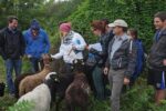 Briefing für Mitgliederwerbeaktion in Seeheim