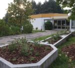Die Wühlmäuse gestalten ein Naschbeet in Malchen