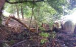 Besuch im Niedermoor Atzenrod