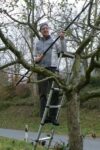 Obstbaumschnitt im Stettbacher Tal abgeschlossen