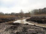 Rinnenprojekt Pfungstädter Moor
